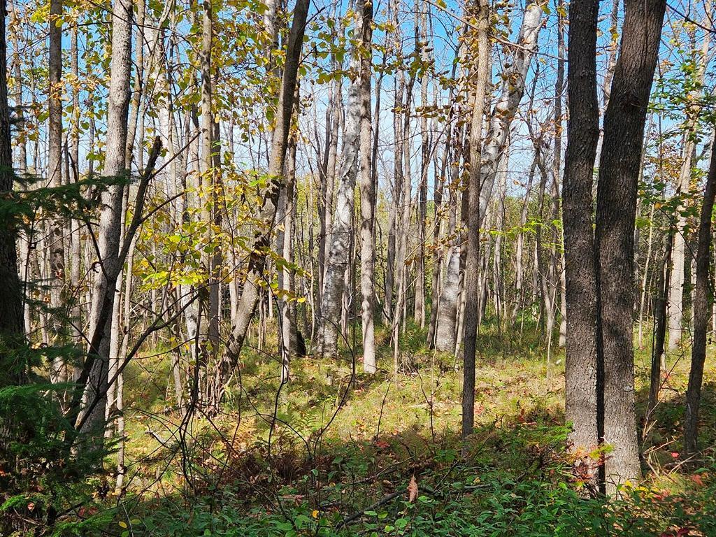 1 County Road Deer River, MN 56636 - Photo 9 of 18