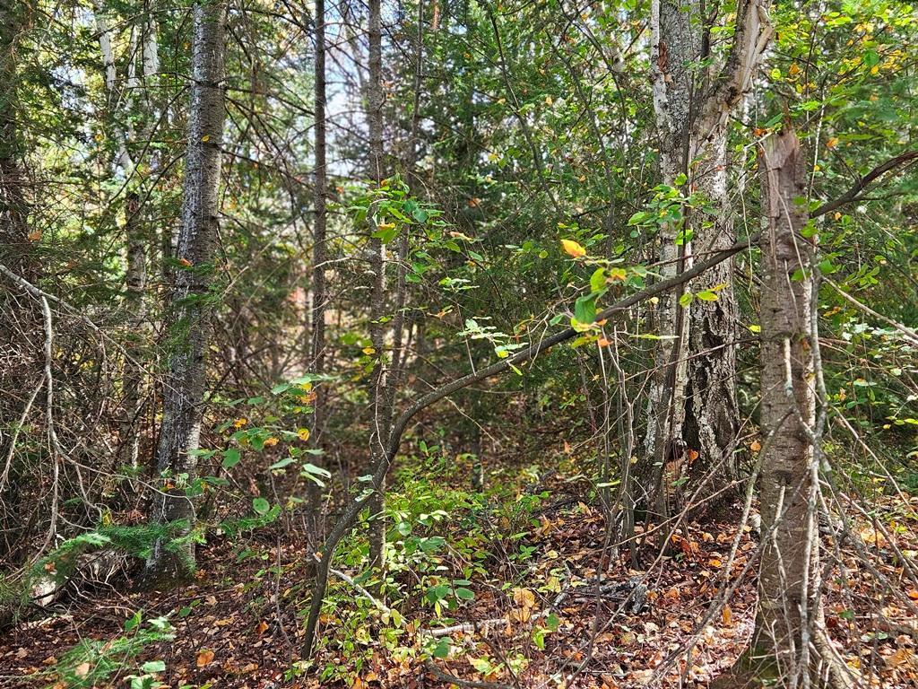 1 County Road Deer River, MN 56636 - Photo 10 of 18