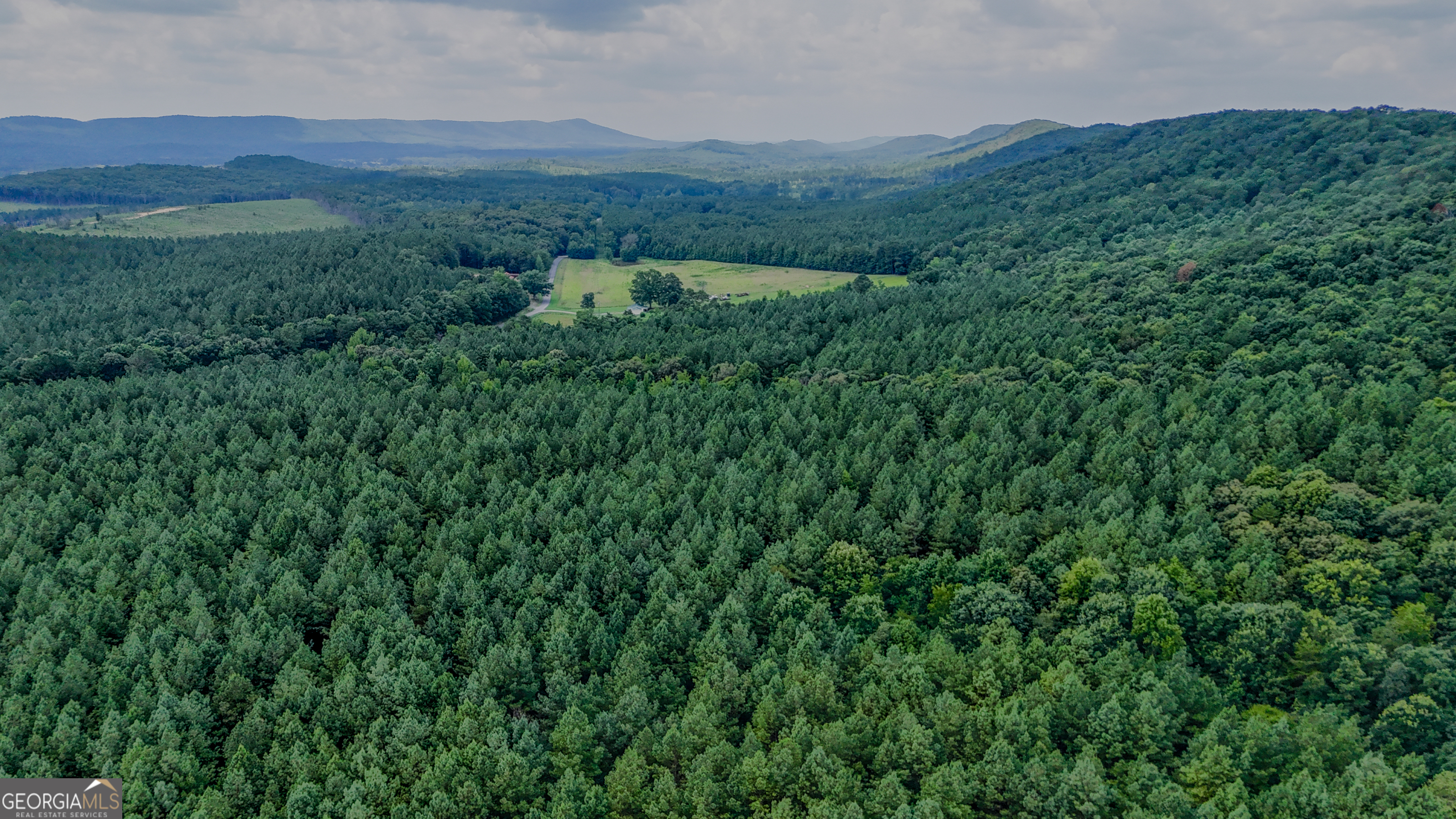 3 Back Valley Road Lyerly, GA 30730 - Photo 3 of 4 a view of a lush green forest with lush green forest