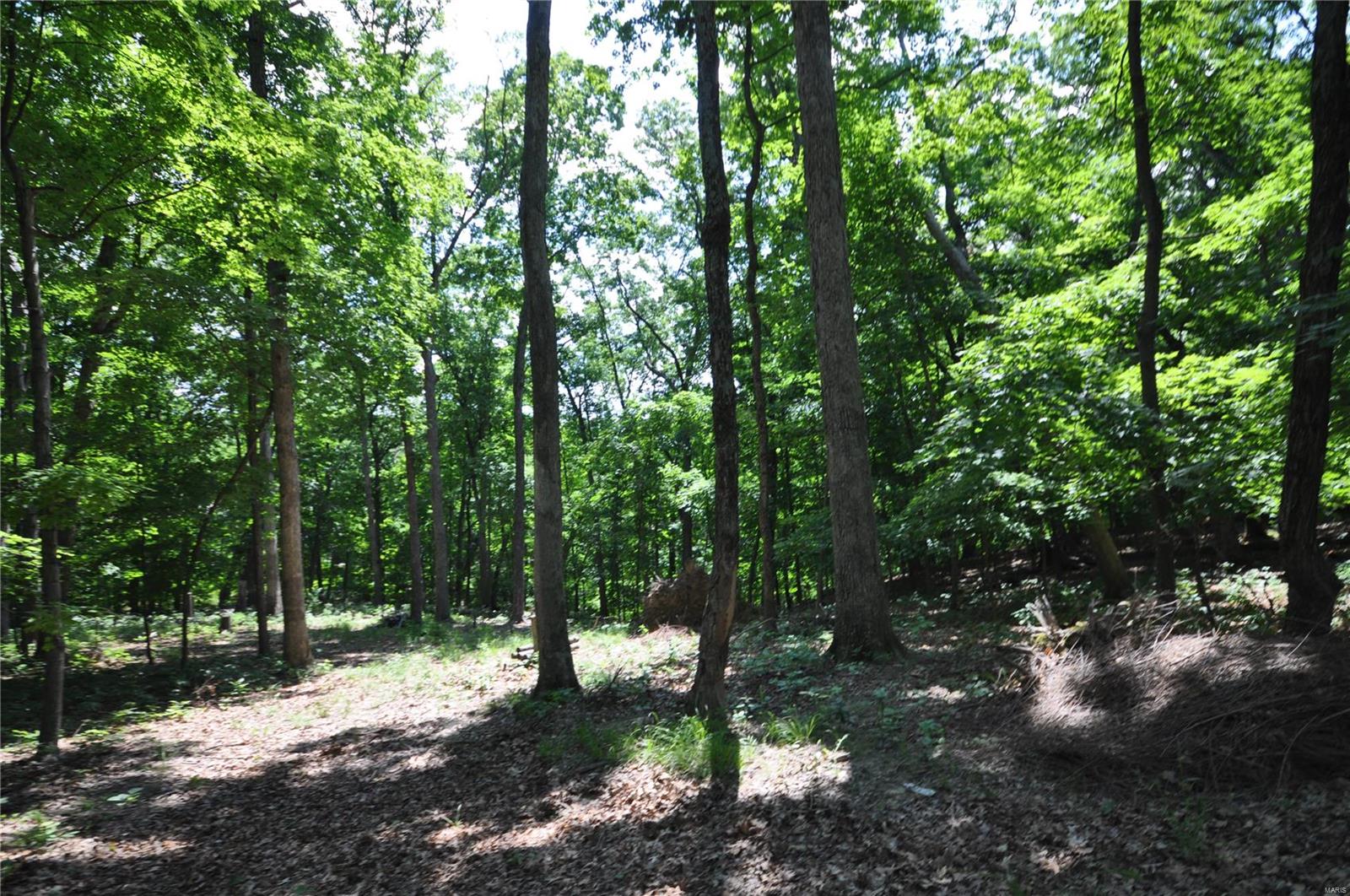 3855 Indian Ridge Lane Defiance, MO 63341 - Photo 2 of 7 Gallery Image 2