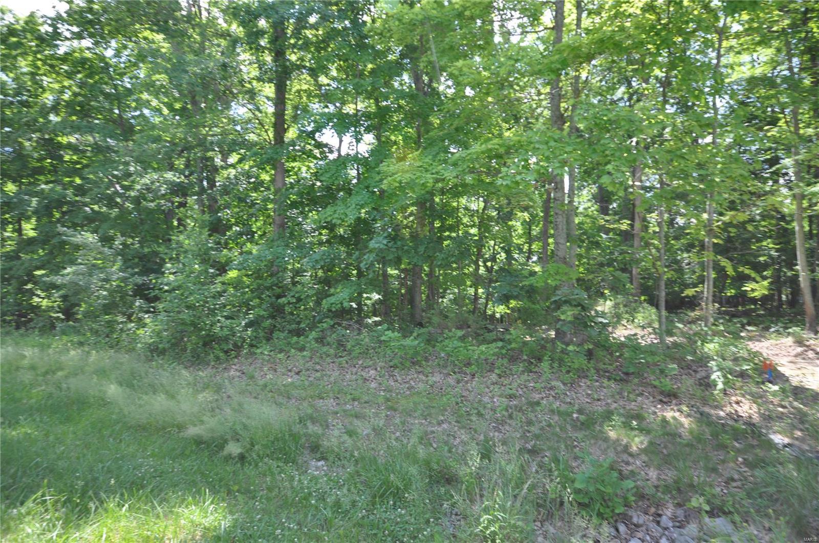 3855 Indian Ridge Lane Defiance, MO 63341 - Photo 3 of 7 Gallery Image 3