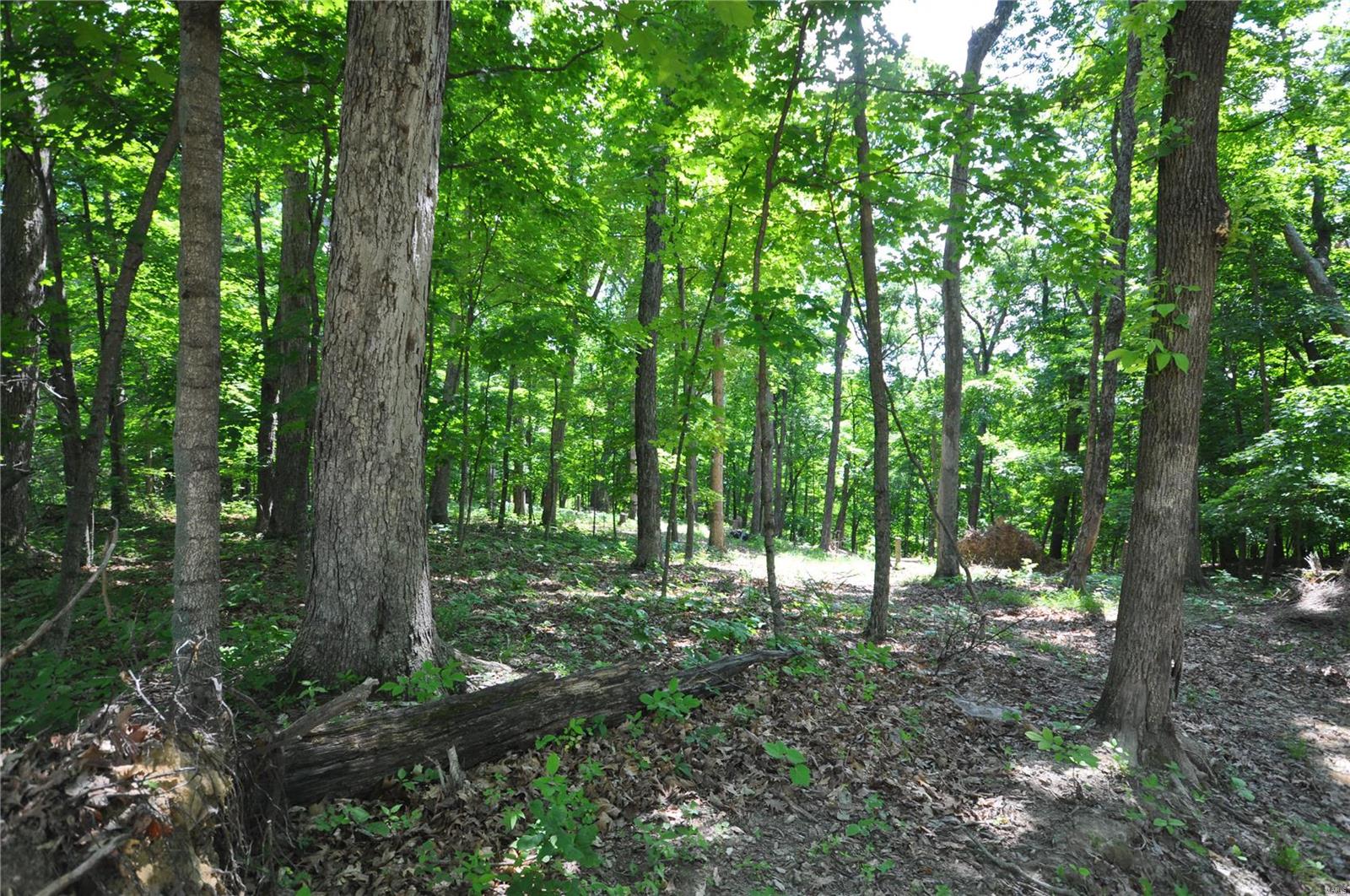 3855 Indian Ridge Lane Defiance, MO 63341 - Photo 4 of 7 Gallery Image 4