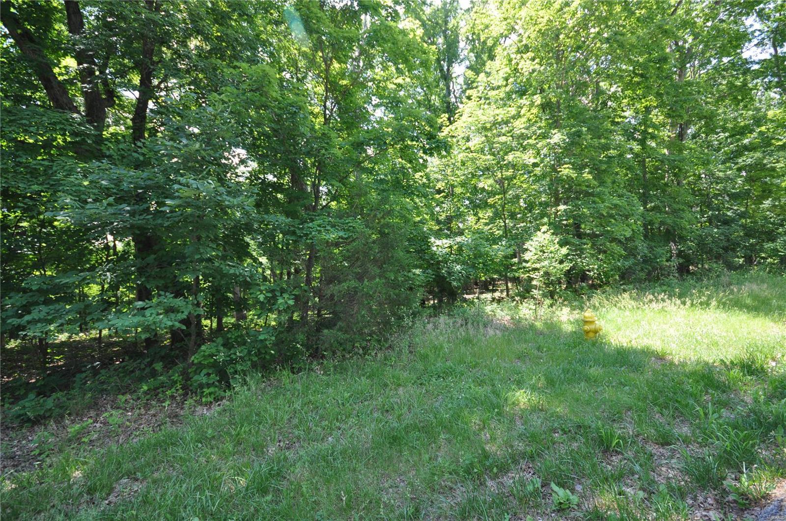 3855 Indian Ridge Lane Defiance, MO 63341 - Photo 7 of 7 Gallery Image 7