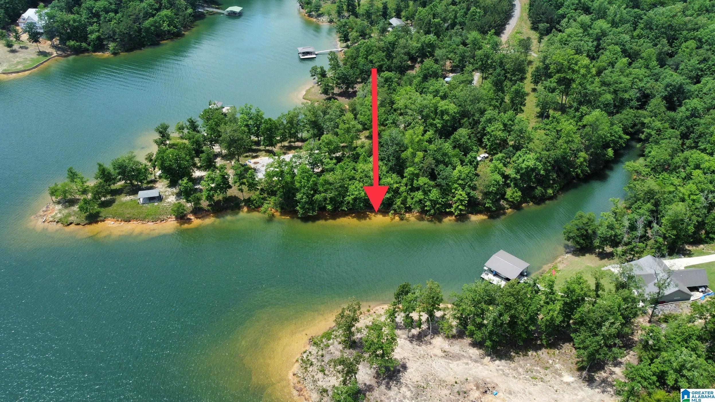 Lot 9 Edgewater Bend Road, Unit 9 Arley, AL 35541 - Photo 14 of 14
