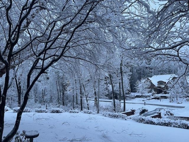 60 Riddle Drive Bedford, NH 03110 - Photo 58 of 59