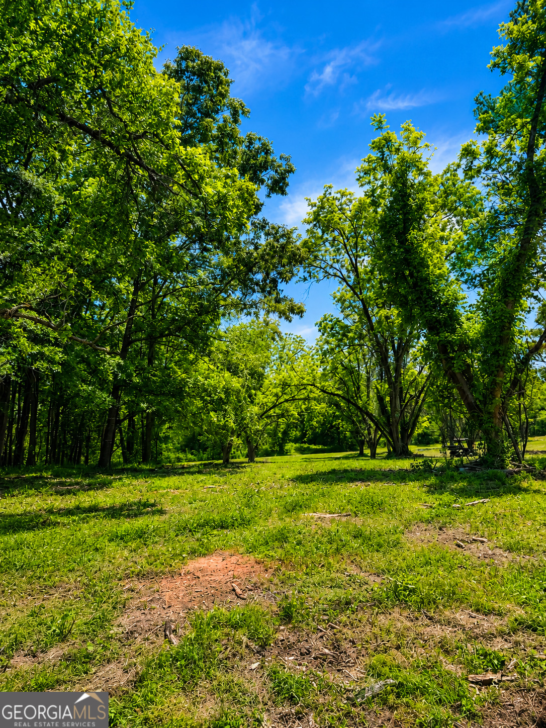 0 Salem Road, Unit 2 Pine Mountain, GA 31822 - Photo 7 of 8