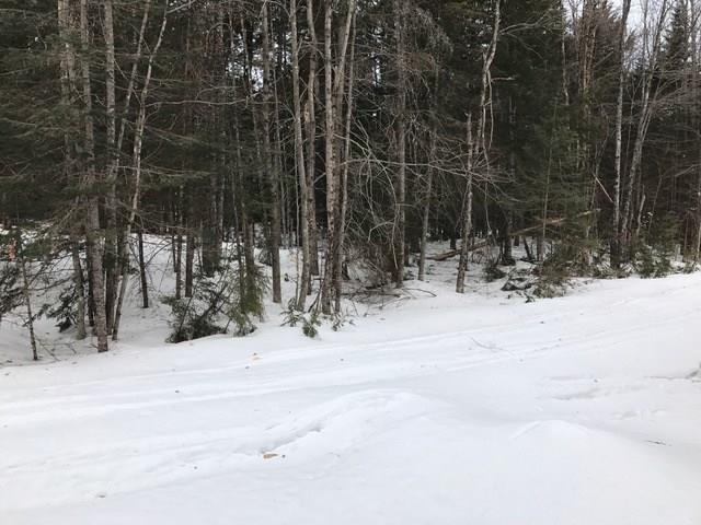 Map 7-lot Map 7-lot Pullyard Road Sangerville, ME 04479 - Photo 12 of 14 Photo