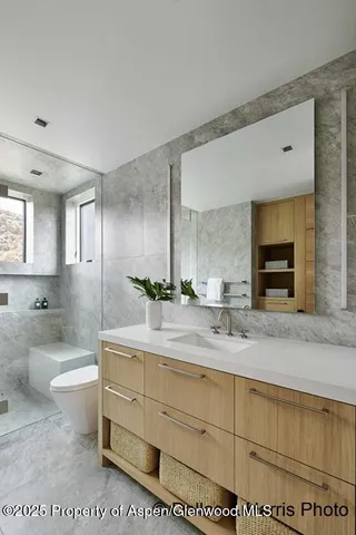 a bathroom with a sink a toilet and mirror