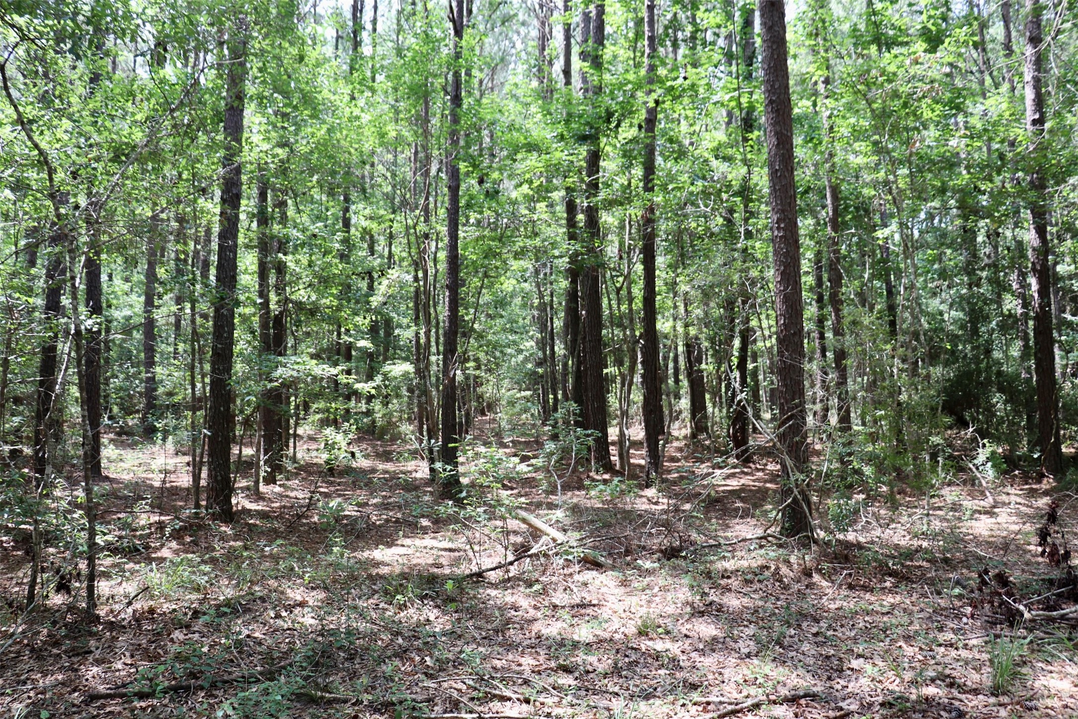 1250 Meekins Road Cleveland, TX 77328 - Photo 34 of 44