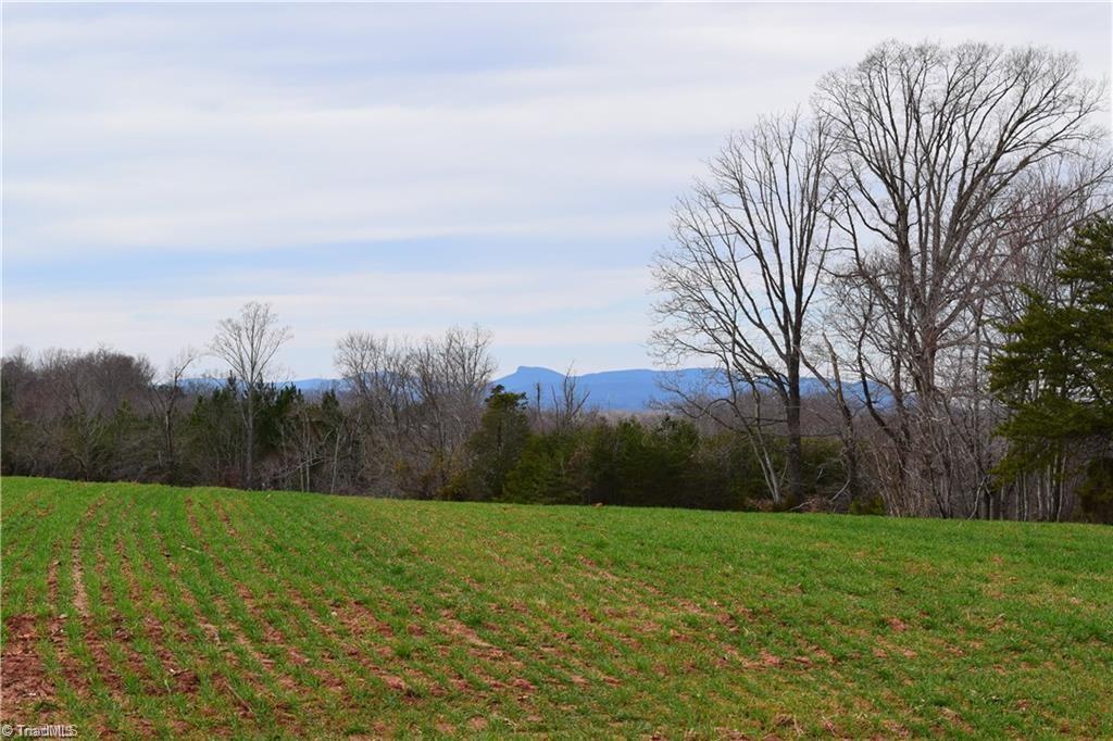 238 Lula Road Madison, NC 27025 - Photo 1 of 21 Mountain view