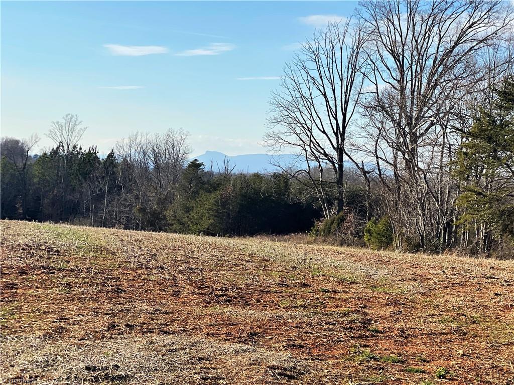 238 Lula Road Madison, NC 27025 - Photo 11 of 21 Gallery Image 11