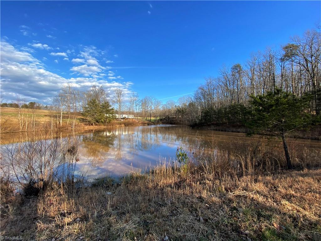 238 Lula Road Madison, NC 27025 - Photo 14 of 21 Pond