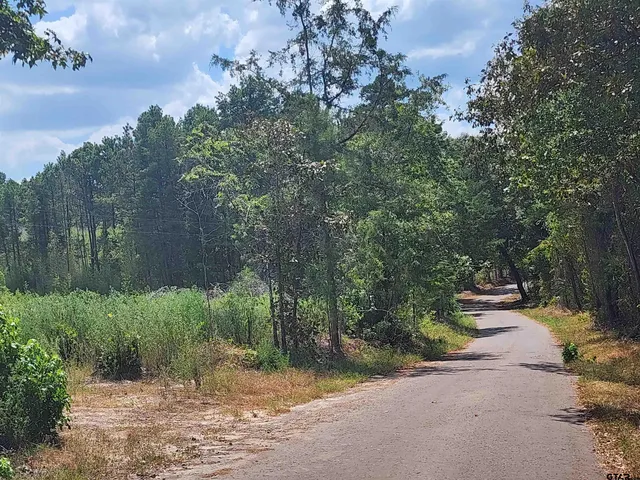 $45,200 | 4 Tbd County Road, Jefferson, TX 75657