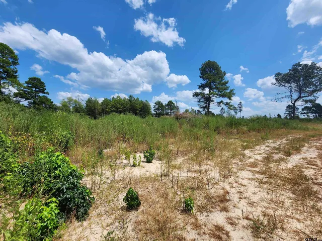 $45,200 | 4 Tbd County Road, Jefferson, TX 75657