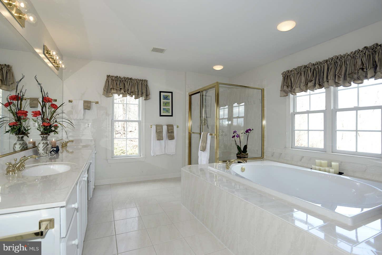 25107 Vista Ridge Road Laytonsville, MD 20882 - Photo 20 of 26 Bath (Master)