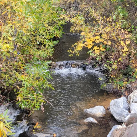 $49,500 | 4.75-acres Frisby Road, Round Mountain, CA 96084