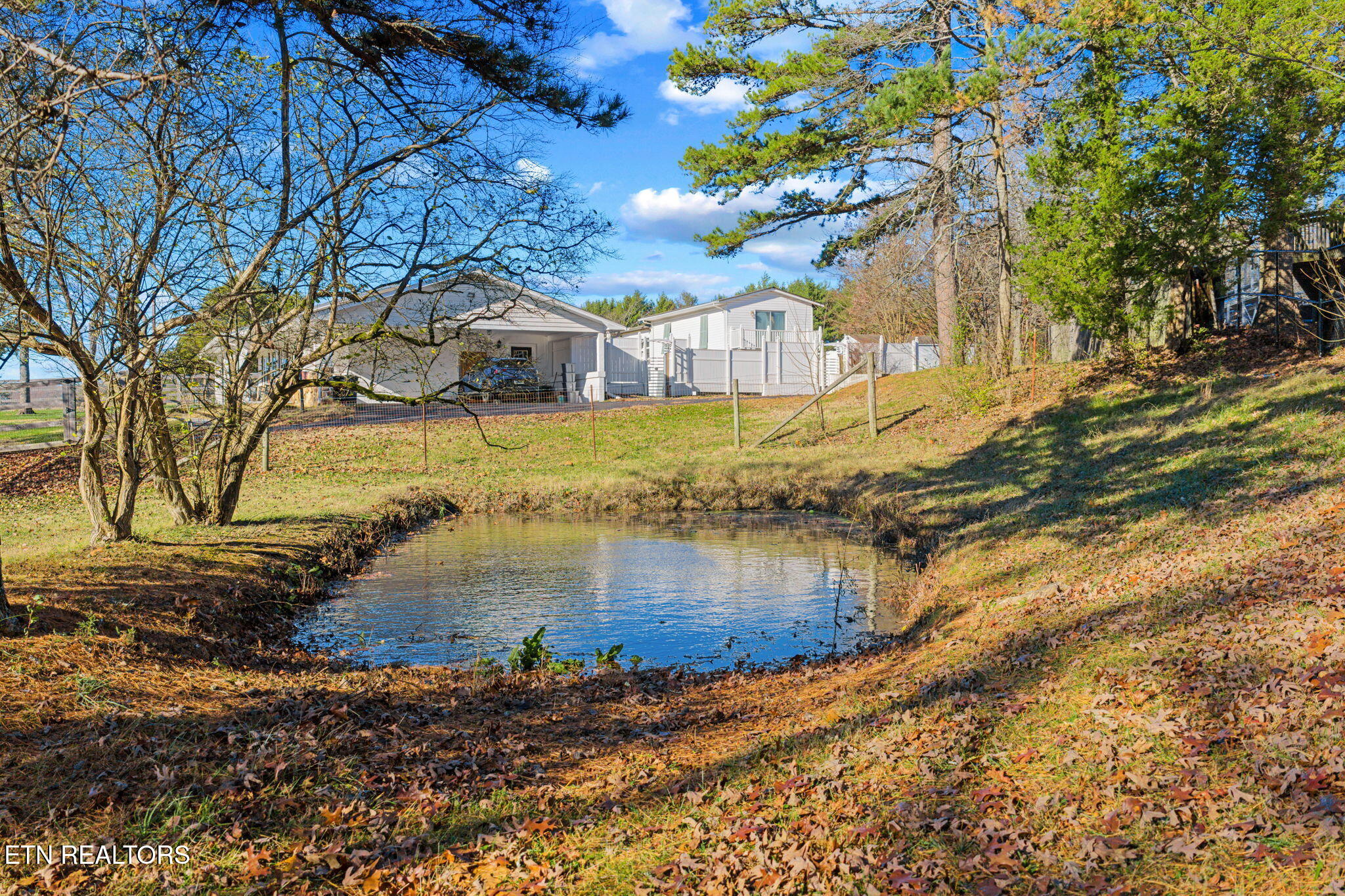 7700 Tazewell Pike Corryton, TN 37721 - Photo 7 of 23 6-web-or-mls-7700 Tazwell--7