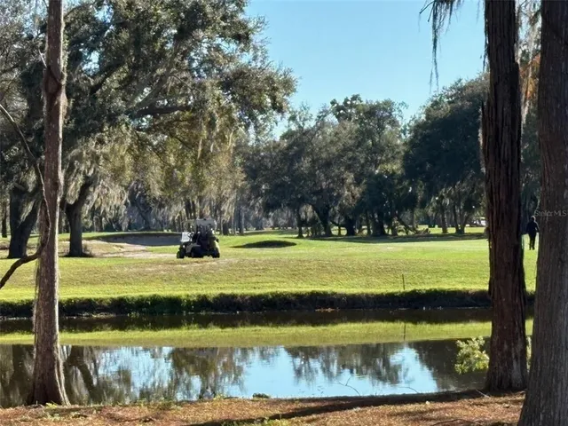 a view of a park with trees