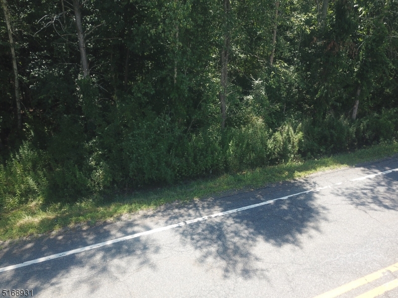 396 Unionville Road Wantage, NJ 07461 - Photo 3 of 4