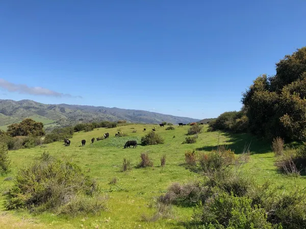 $4,900,000 | 36000 East Carmel Valley Road, Carmel Valley, CA 93924