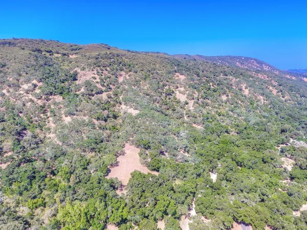 a view of a field with mountains in the background