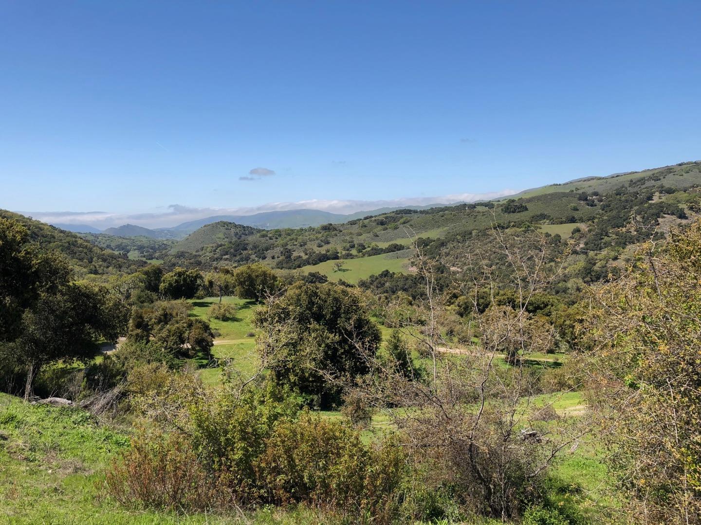 36000 East Carmel Valley Road Carmel Valley, CA 93924 - Photo 25 of 41 a view of a city with lush green forest