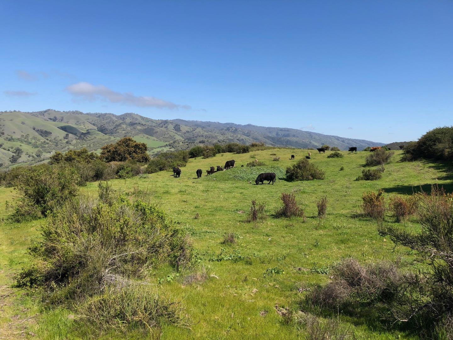 36000 East Carmel Valley Road Carmel Valley, CA 93924 - Photo 29 of 41 a view of a lush green outdoor space with a swimming pool and valleys in the background