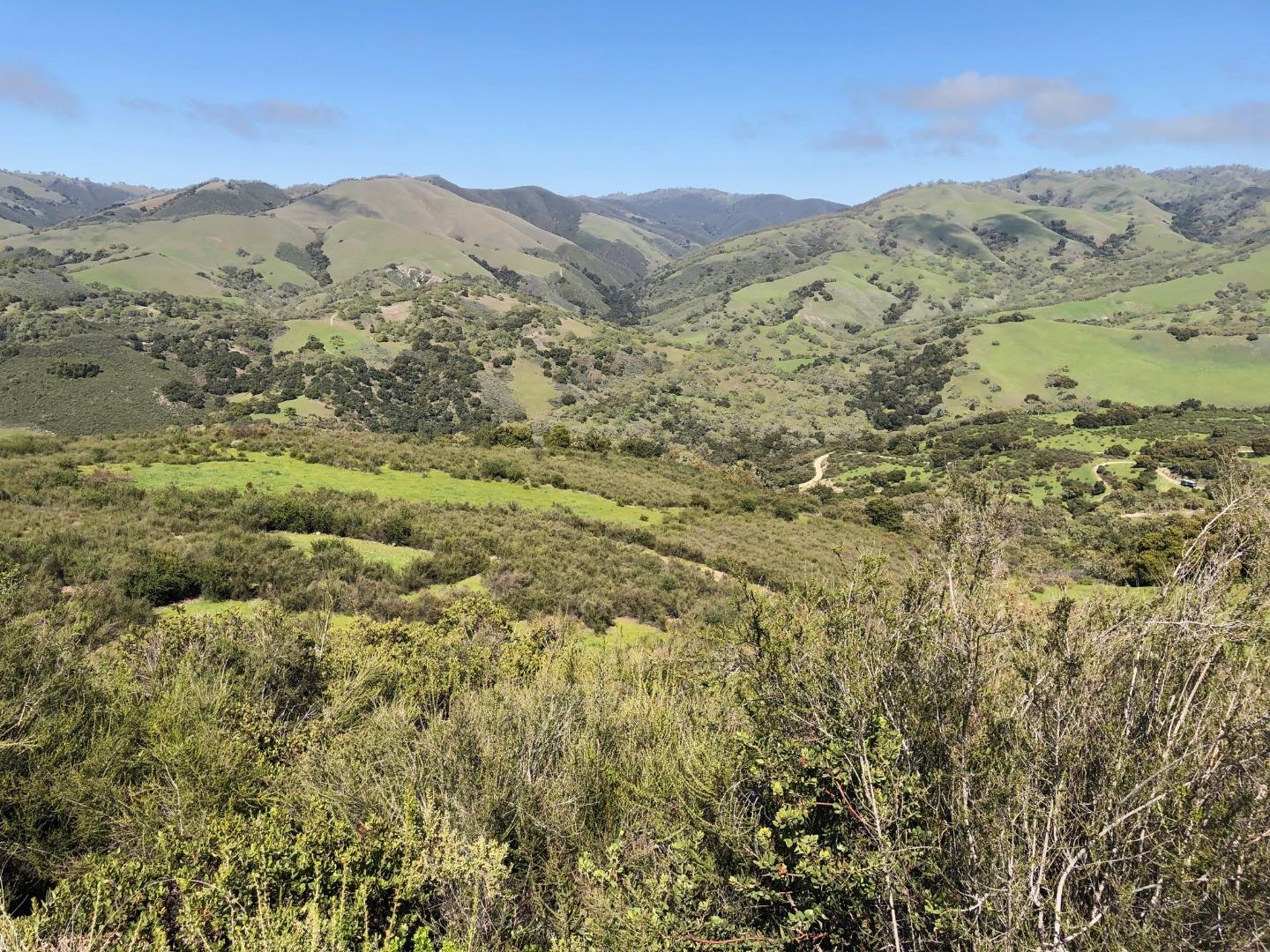 36000 East Carmel Valley Road Carmel Valley, CA 93924 - Photo 30 of 41 a view of a forest with mountains in the background