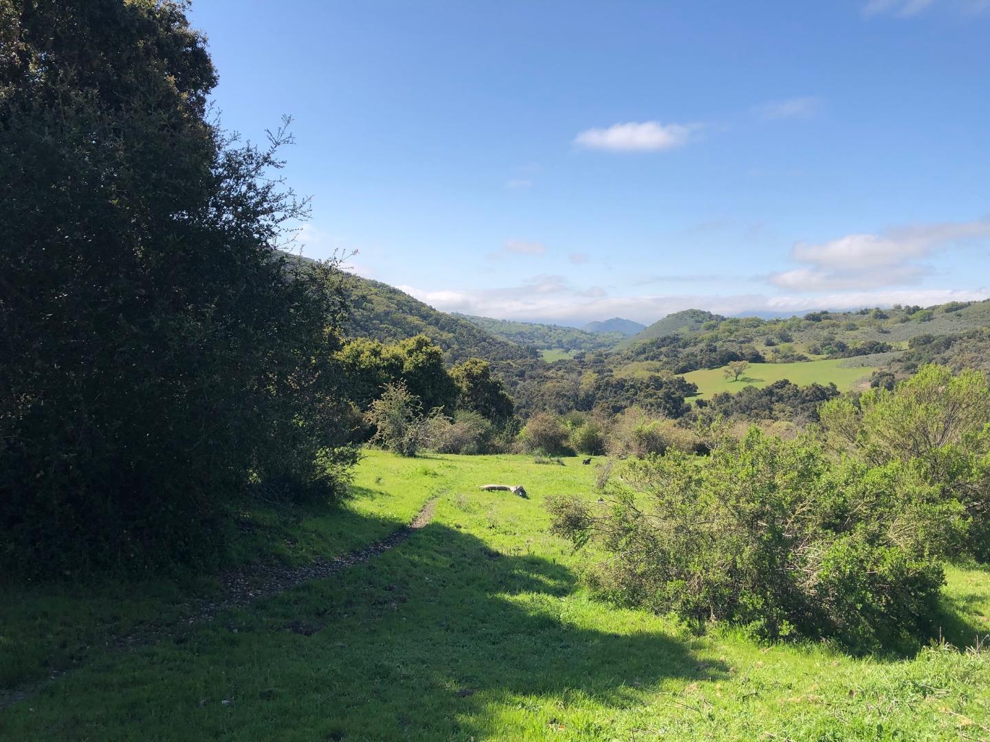 36000 East Carmel Valley Road Carmel Valley, CA 93924 - Photo 35 of 41 a view of a city with lush green forest