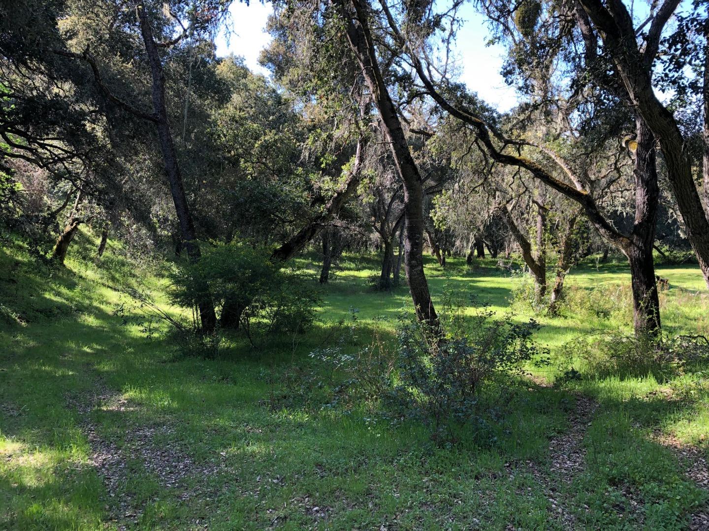 36000 East Carmel Valley Road Carmel Valley, CA 93924 - Photo 37 of 41 a view of park with trees