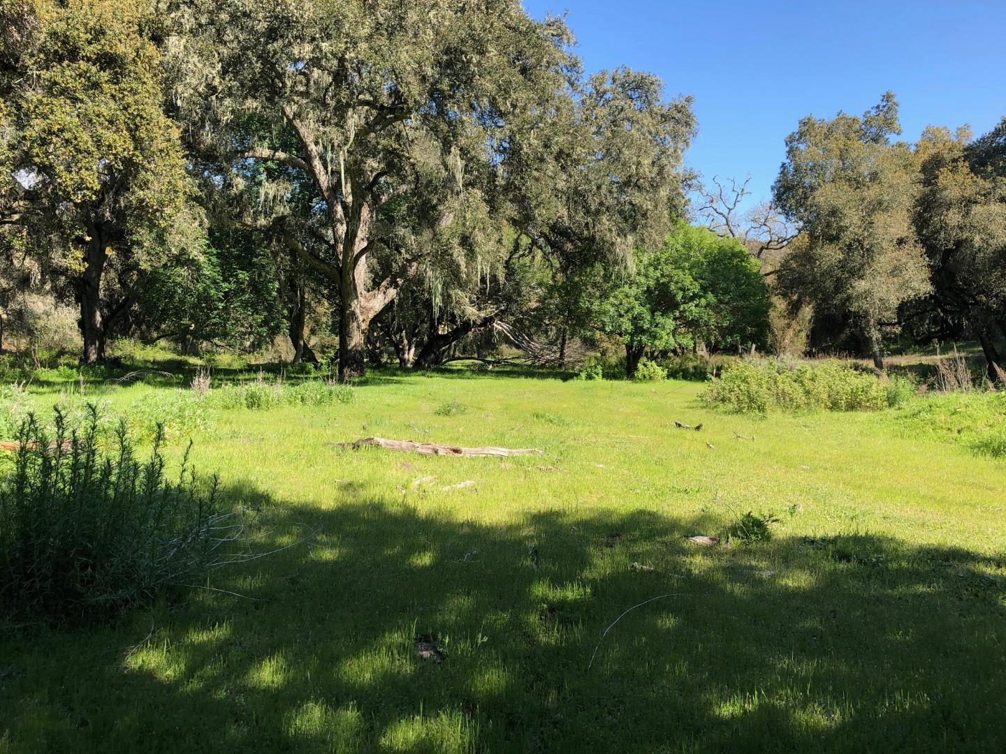 36000 East Carmel Valley Road Carmel Valley, CA 93924 - Photo 38 of 41 a view of a grassy field with an trees