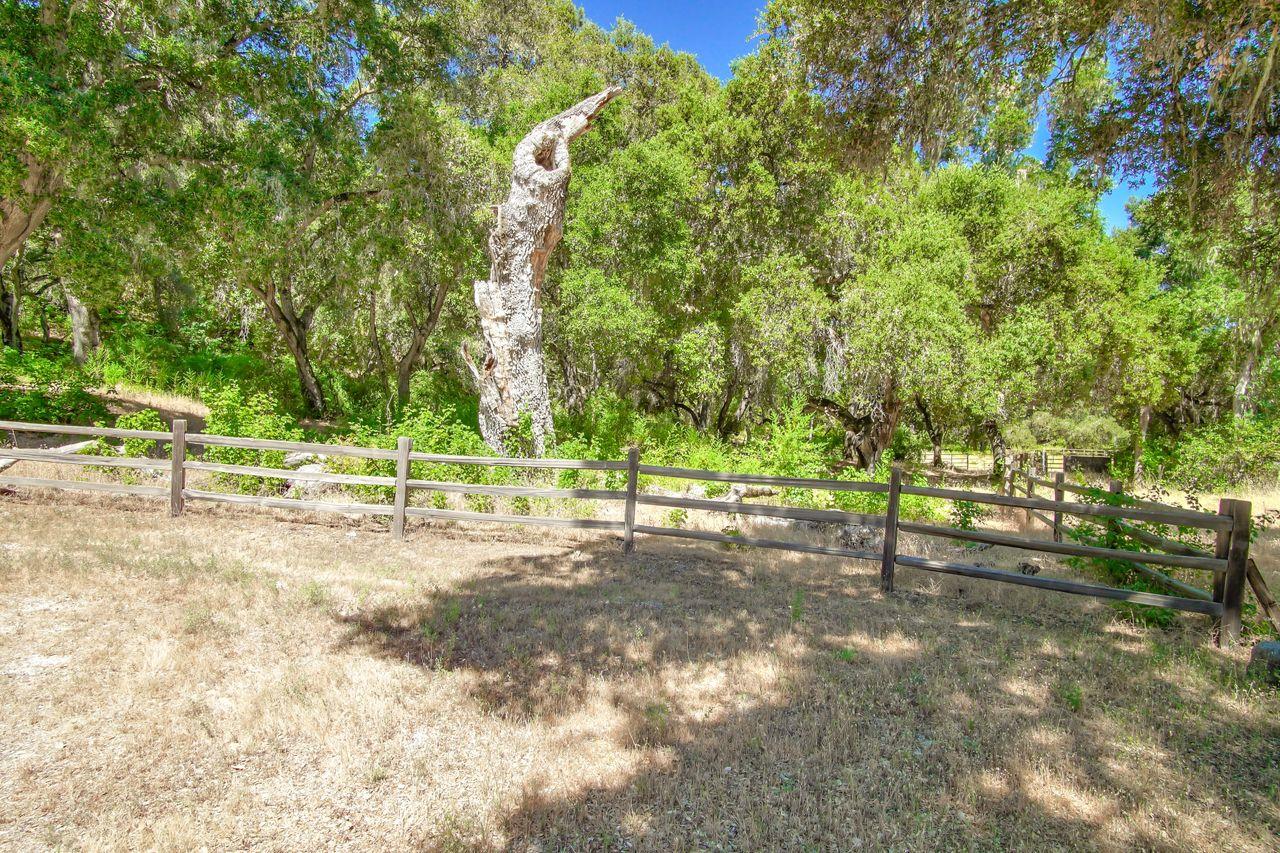 36000 East Carmel Valley Road Carmel Valley, CA 93924 - Photo 4 of 41 a view of a park with trees