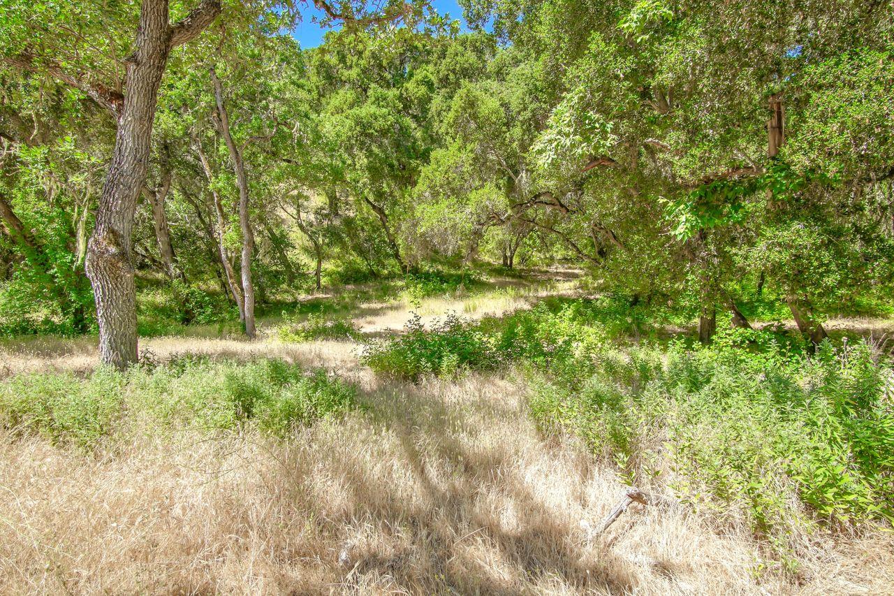 36000 East Carmel Valley Road Carmel Valley, CA 93924 - Photo 5 of 41 a view of yard with green space