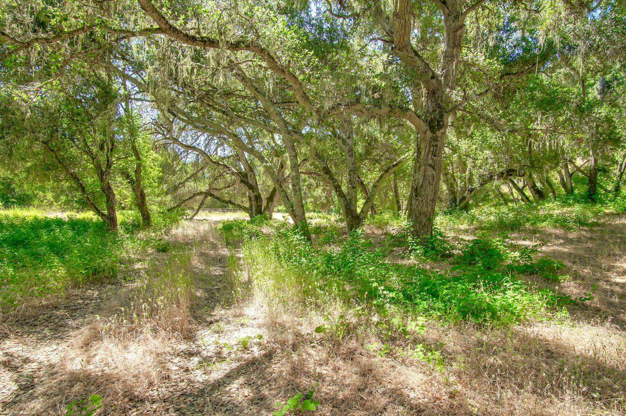 36000 East Carmel Valley Road Carmel Valley, CA 93924 - Photo 8 of 41 a backyard of a house with lots of green space