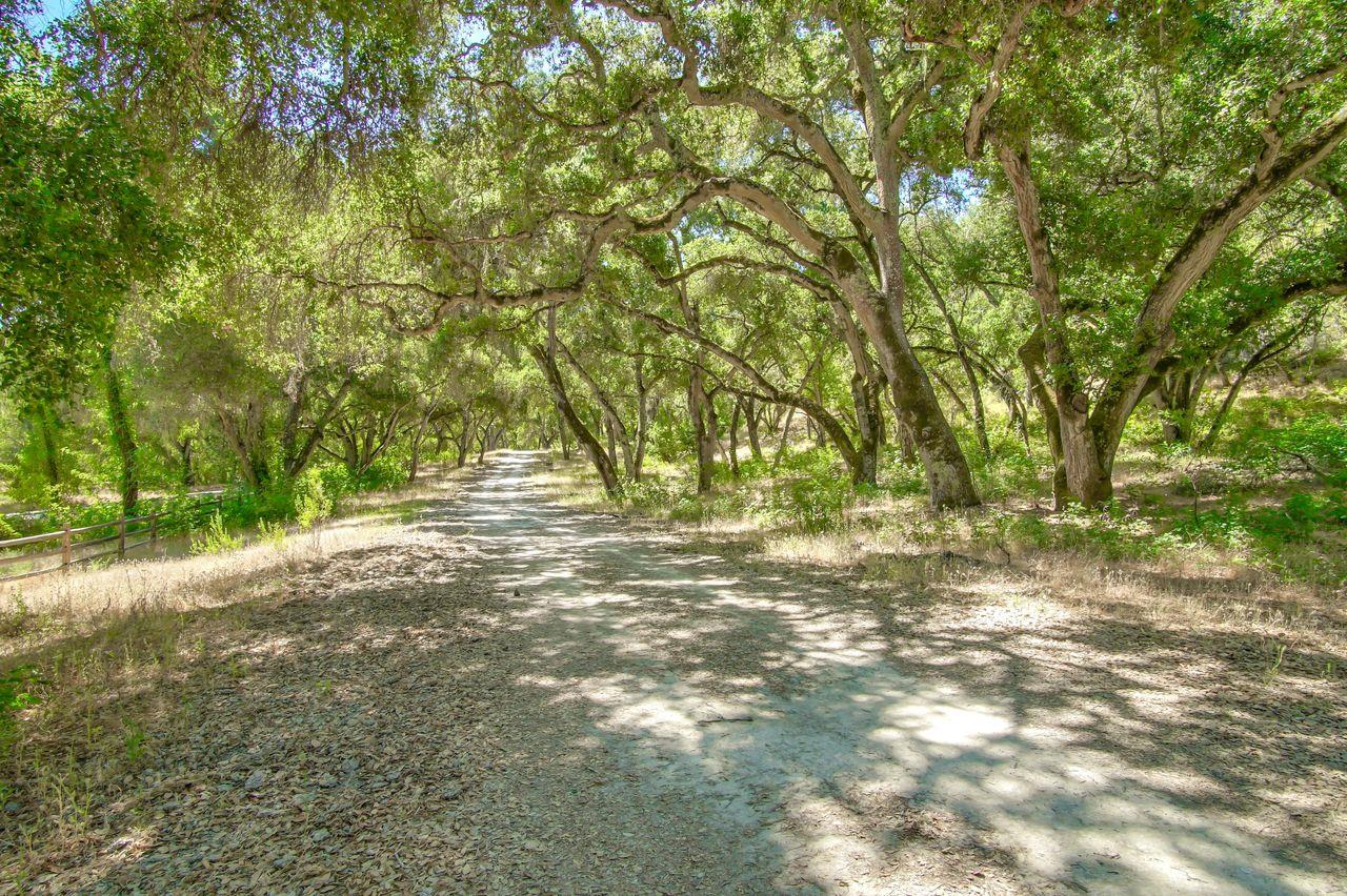 36000 East Carmel Valley Road Carmel Valley, CA 93924 - Photo 9 of 41 a view of outdoor space with trees