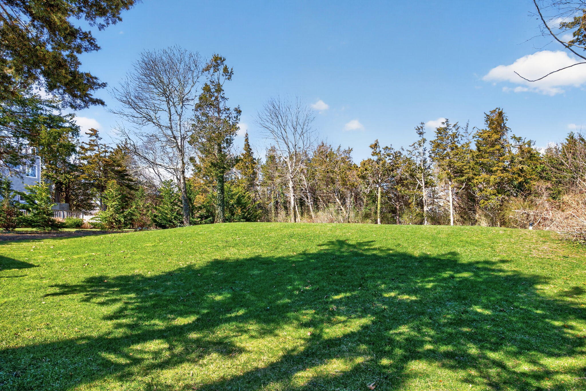 250 Mary Chase Road Eastham, MA 02642 - Photo 49 of 66 Back yard