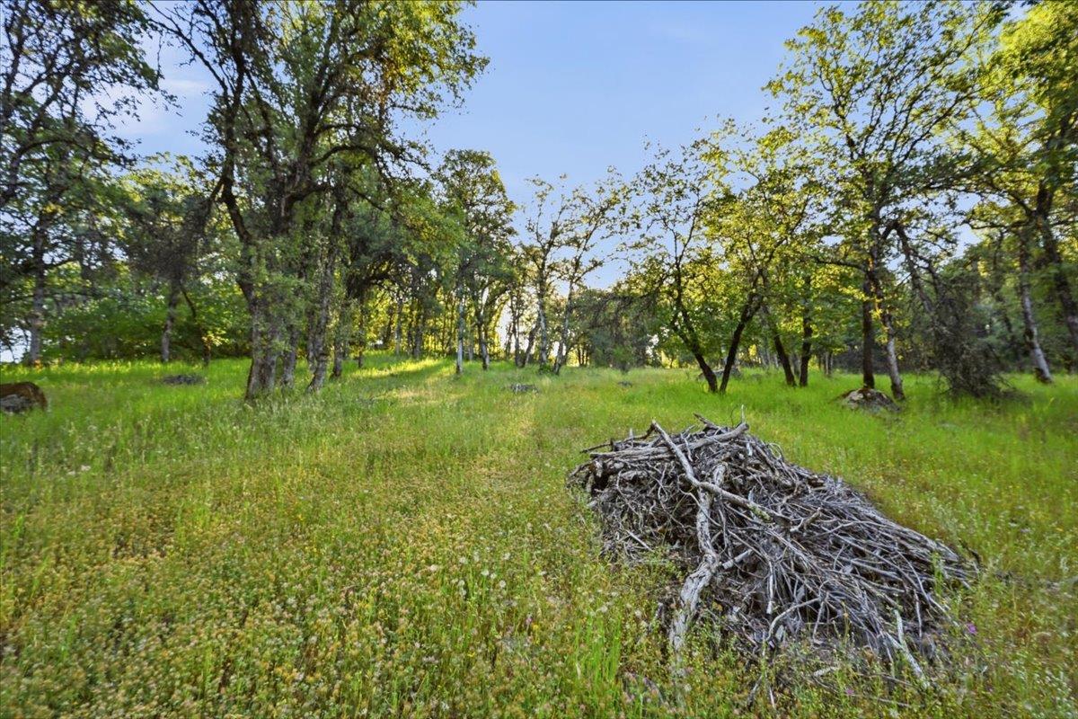 16095 Auburn Road Grass Valley, CA 95949 - Photo 17 of 20