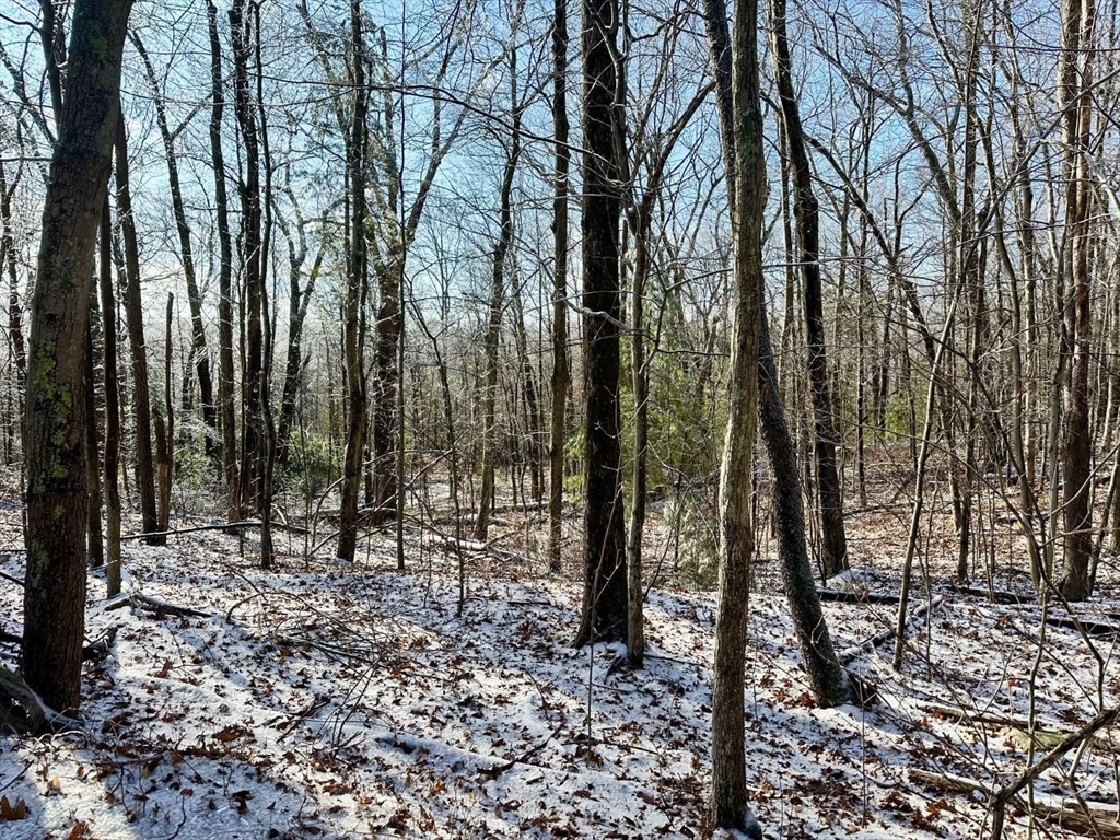 a view of outdoor space with lots of trees