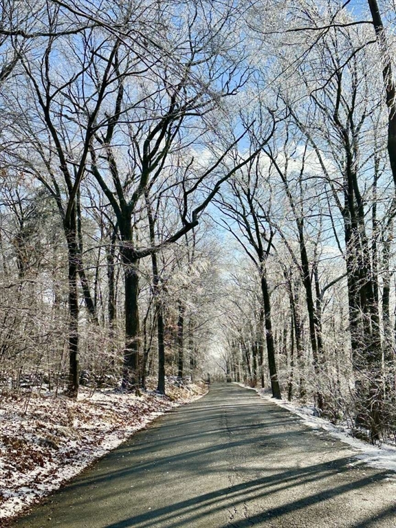 99 Burbank Road Sutton, MA 01590 - Photo 5 of 5