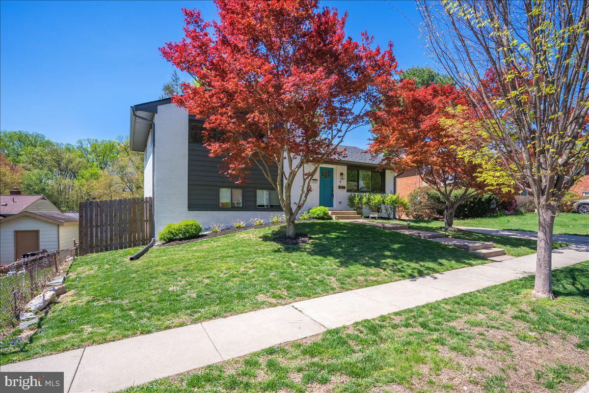 10302 Conover Drive Silver Spring, MD 20902 - Photo 37 of 44 a front view of a house with a yard