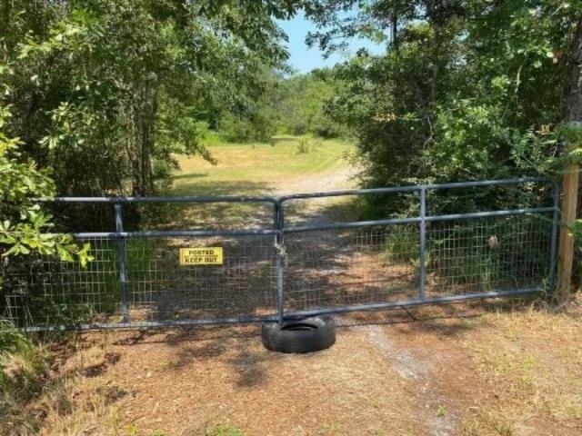 19345 Vaughn Road Seminole, AL 36574 - Photo 8 of 14