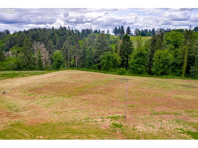 Northeast Archery Summit Road Dayton, OR 97114 - Photo 4 of 28 Gallery Image 4