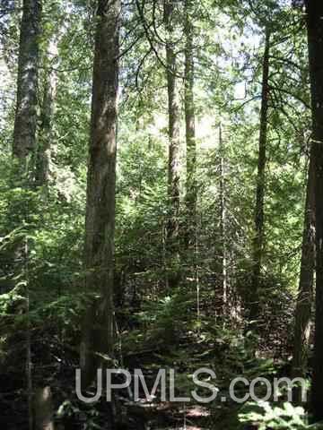 17.5 17.5 Road, Unit LOT A B C Gladstone, MI 49837 - Photo 2 of 6