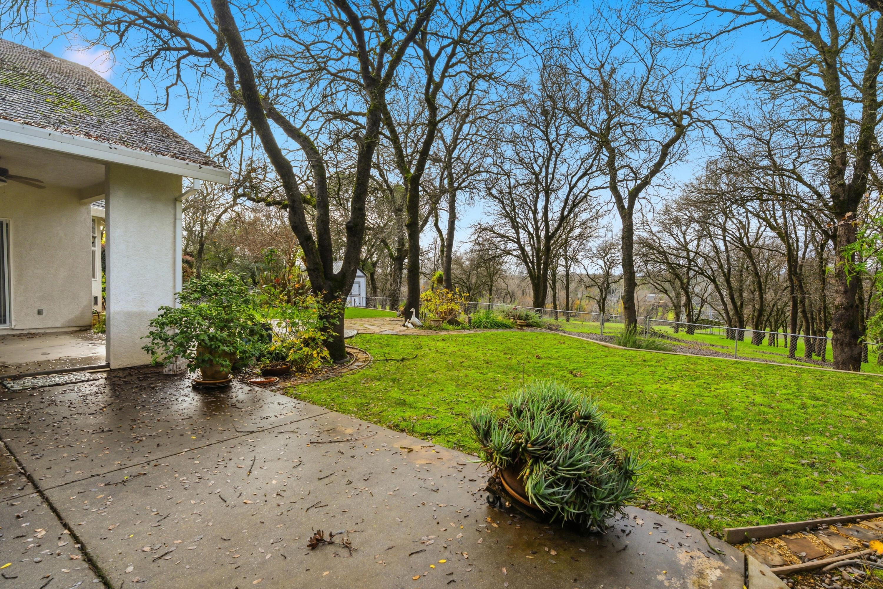14535 Molluc Drive Red Bluff, CA 96080 - Photo 40 of 72 TUF03861