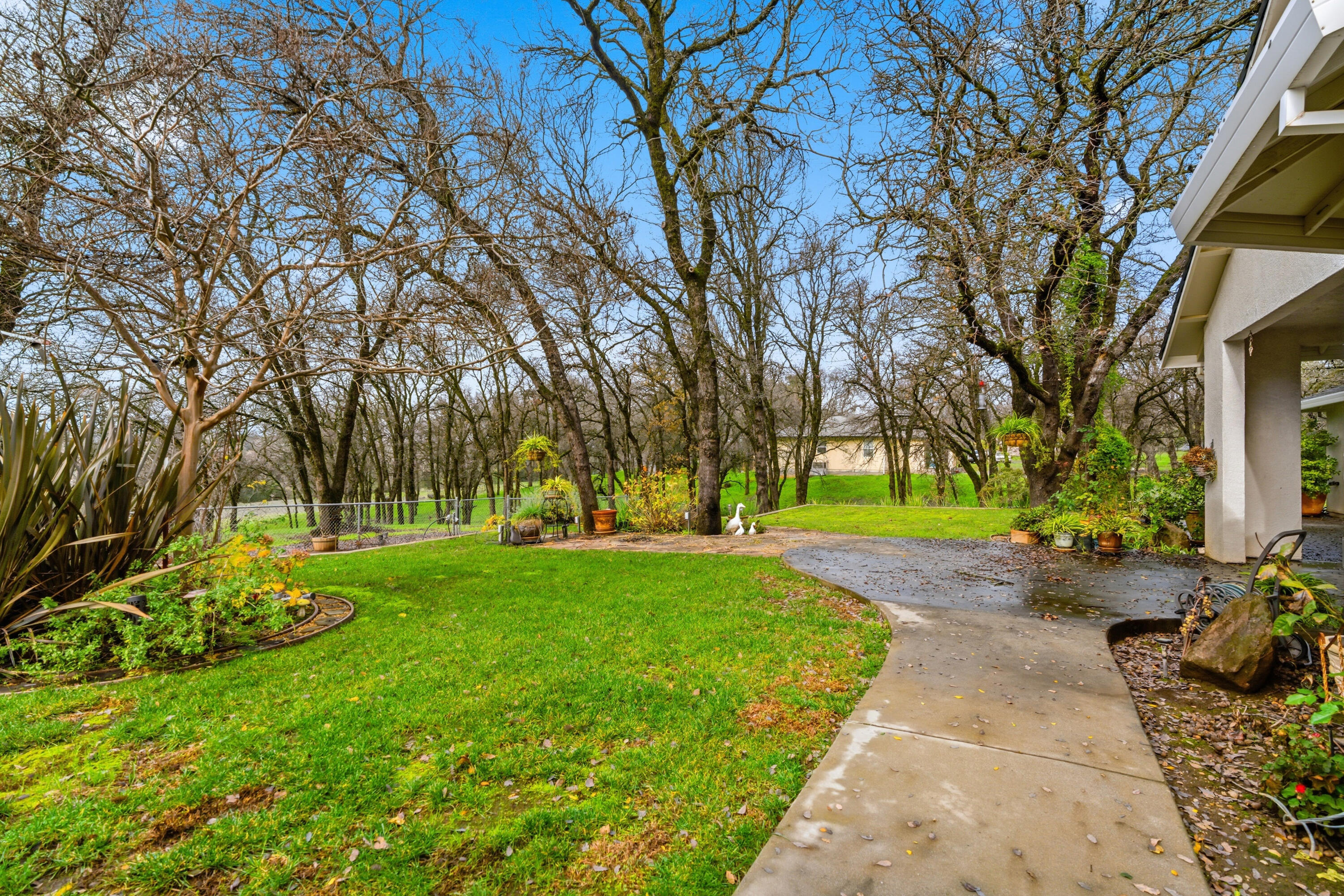 14535 Molluc Drive Red Bluff, CA 96080 - Photo 41 of 72 a huge green field with lots of trees