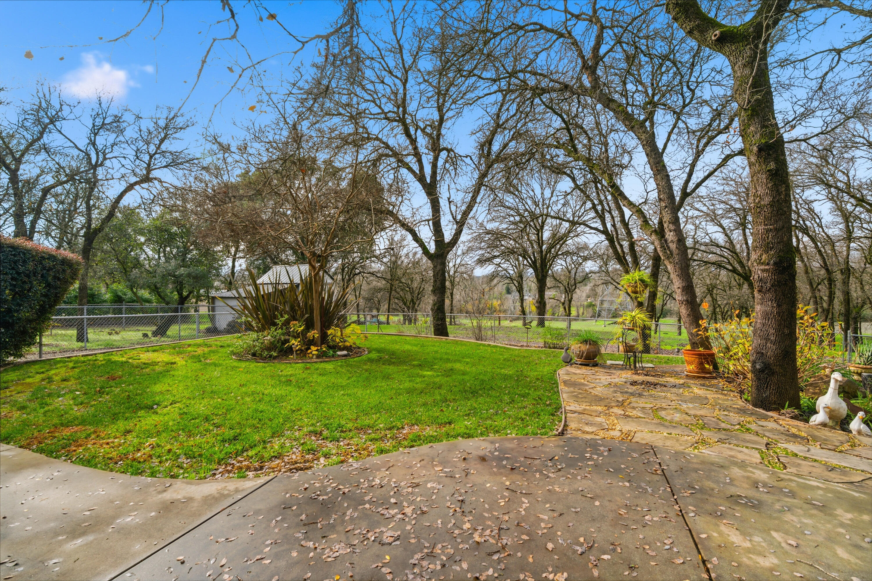 14535 Molluc Drive Red Bluff, CA 96080 - Photo 42 of 72 a huge green field with lots of trees