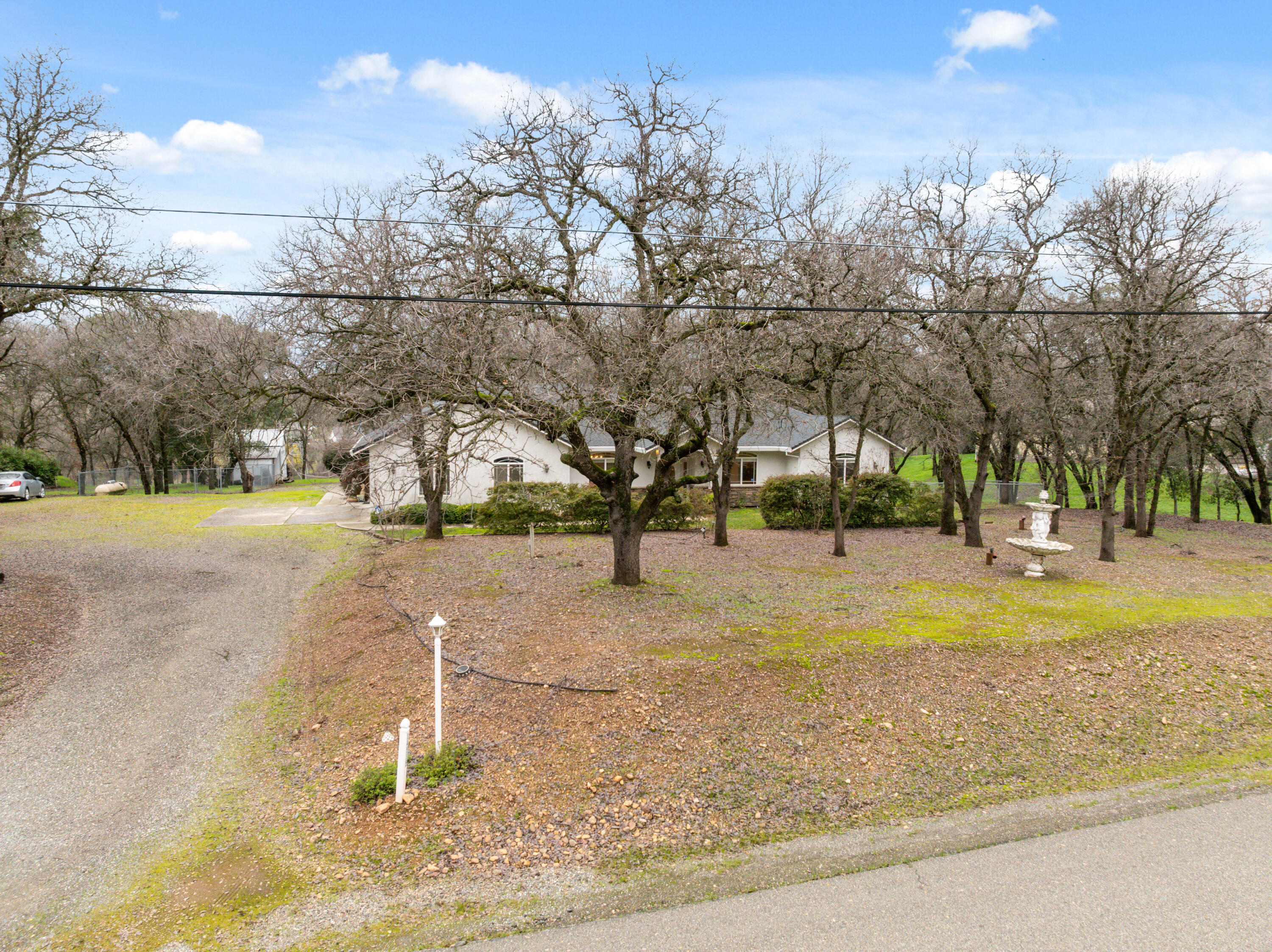 14535 Molluc Drive Red Bluff, CA 96080 - Photo 45 of 72 a view of yard with swimming pool