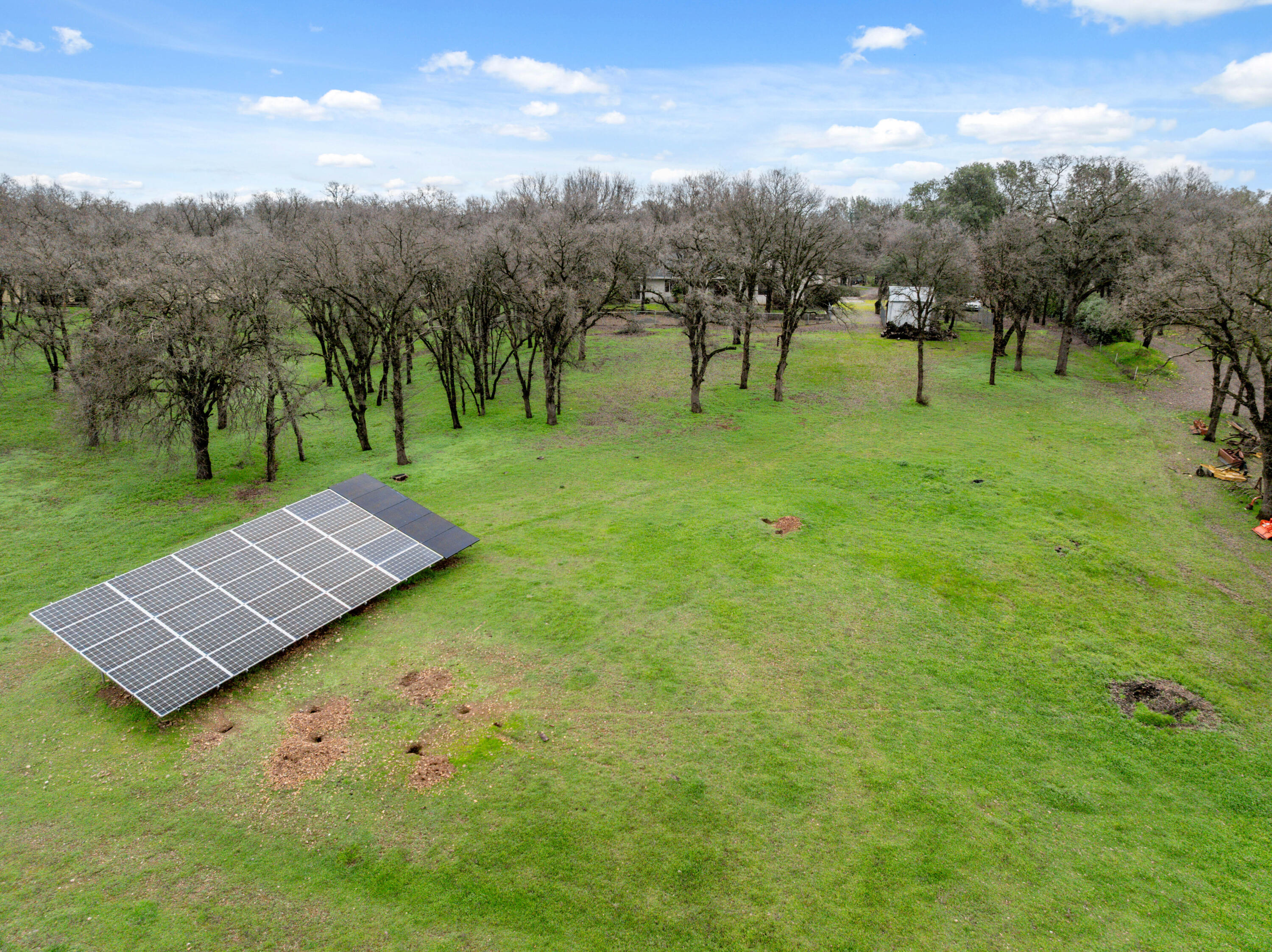 14535 Molluc Drive Red Bluff, CA 96080 - Photo 55 of 72 a view of a park with large trees
