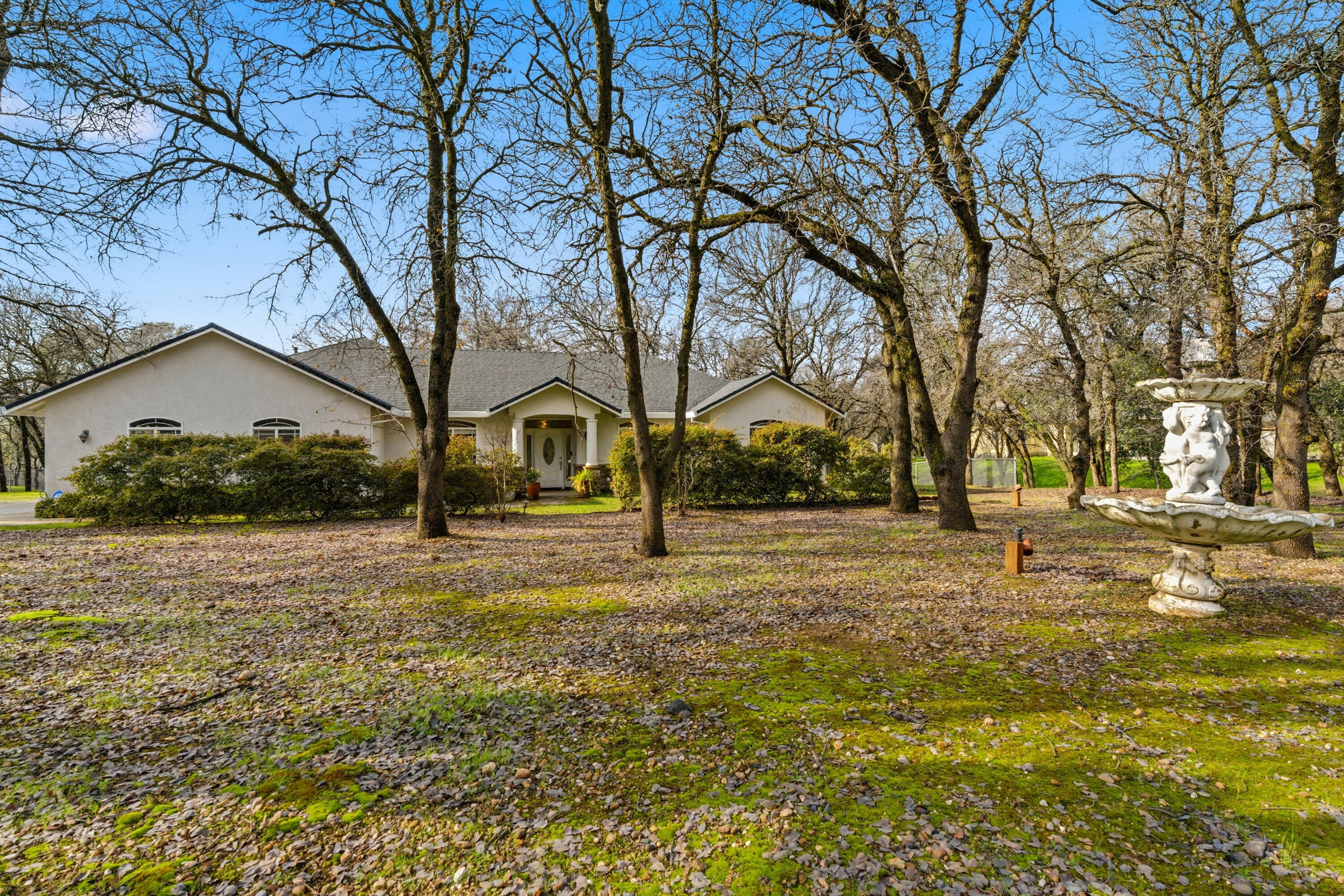 14535 Molluc Drive Red Bluff, CA 96080 - Photo 70 of 72 a view of road with large trees