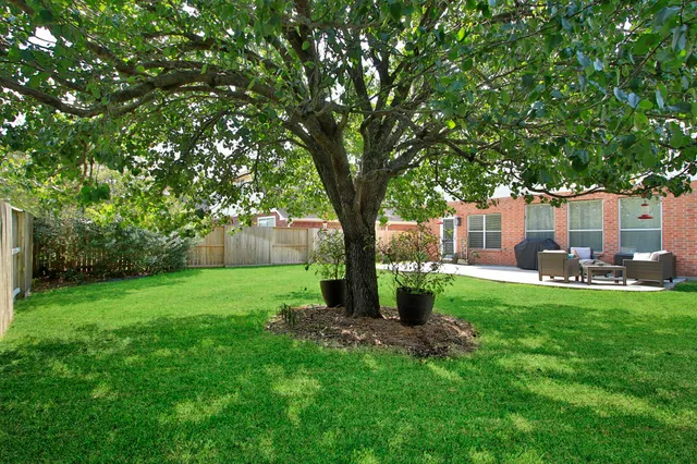 a view of a couches in a backyard